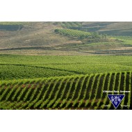 Bodegas Valcaliente Rioja 2012