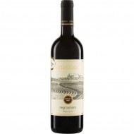 Primitivo Puglia IGT 2018 Amastuola (Bio)