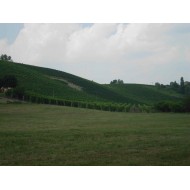 Azienda Rovero Barbera d'Asti "Gustin" 2007 