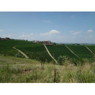 Azienda Erbaluna Barolo 2008  