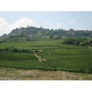 Azienda Erbaluna Barolo 2008  